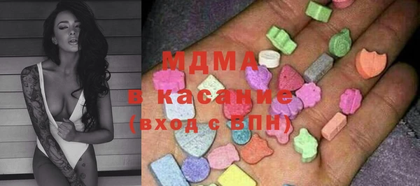хмурый Ельня