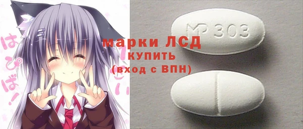 хмурый Ельня