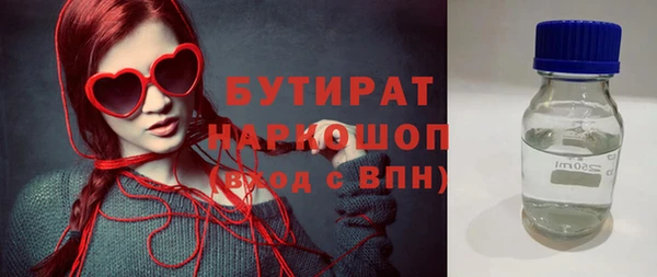 хмурый Ельня