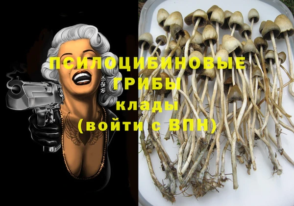 хмурый Ельня