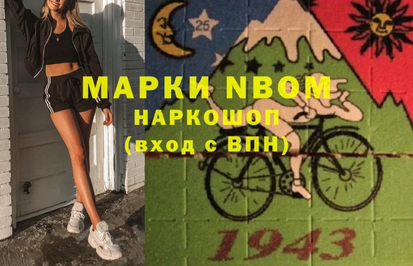 хмурый Ельня