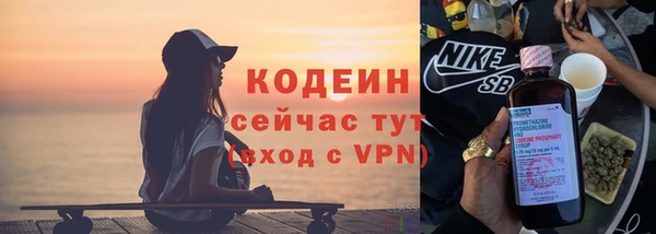 хмурый Ельня