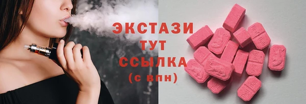 хмурый Ельня