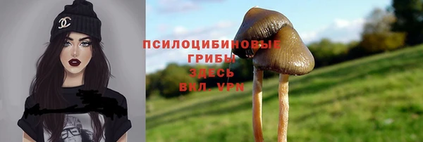 хмурый Ельня