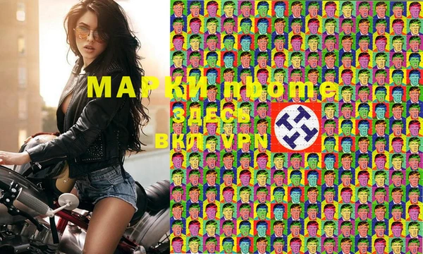 хмурый Ельня
