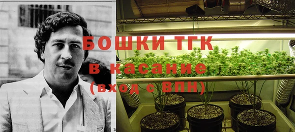хмурый Ельня