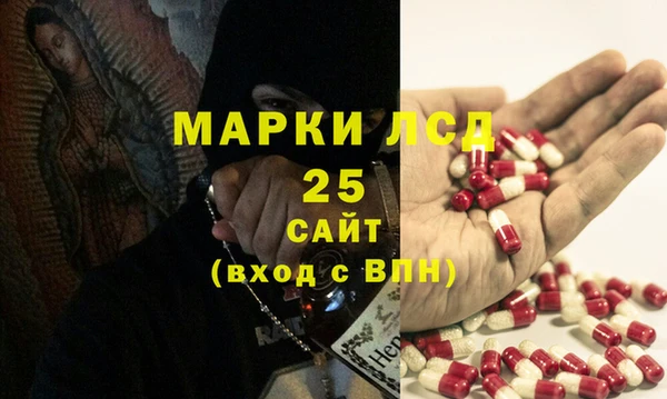 хмурый Ельня