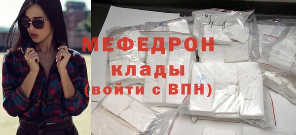 хмурый Ельня